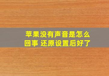 苹果没有声音是怎么回事 还原设置后好了